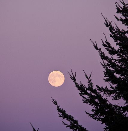 AVENUSIANRISING's tweet photo. 🌕 PICK A PILE: full moon in scorpio edition 🌕

"what do you need to release?"

—take 3 deep breaths and pick the picture/s you're most drown to. follow your gut. 

—i will like your comment once is posted! 

—retweet and like to share. 🥰

—thank you for participating! https://t.co/kJRrSdMUD5