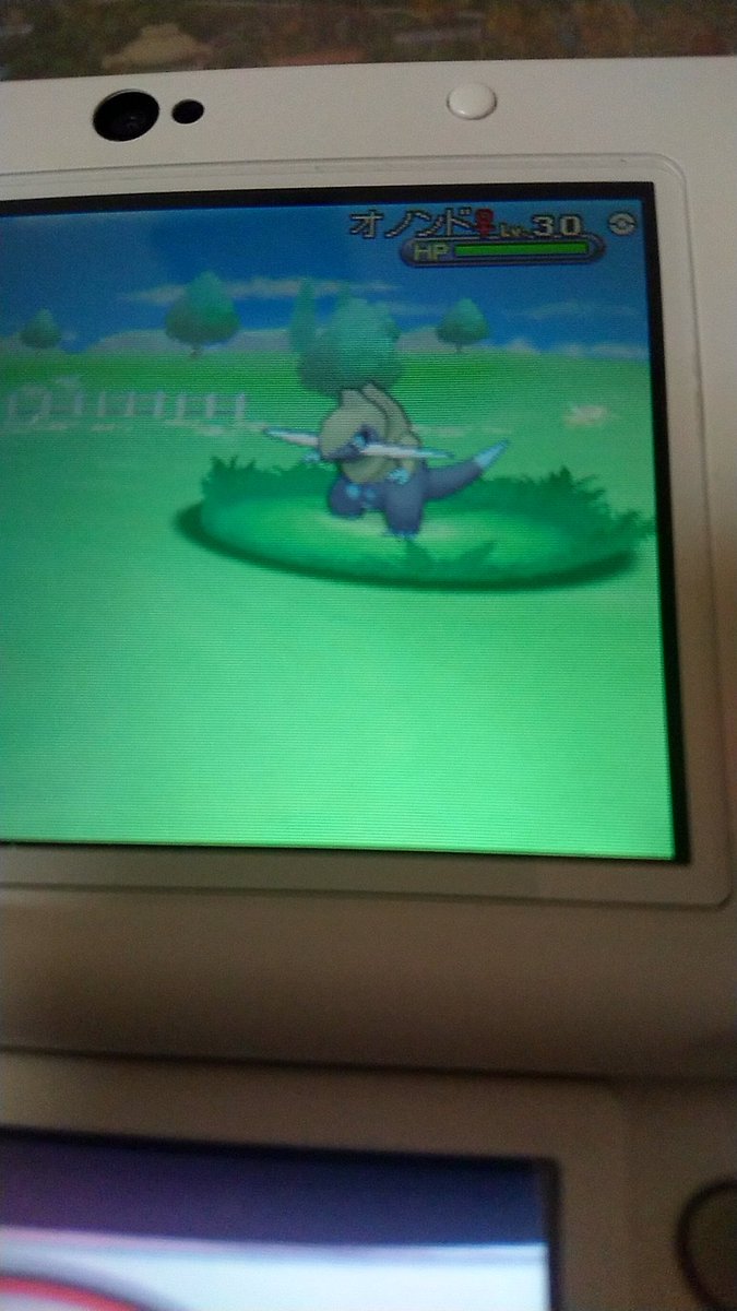 Ojこと糞ター ダガー 4g ゲーム垢 今まで2回あります このモロバレルとｕｓｕｍでアローラロコンです 今光った って感じで違いがわからなかったですww右が色違いです