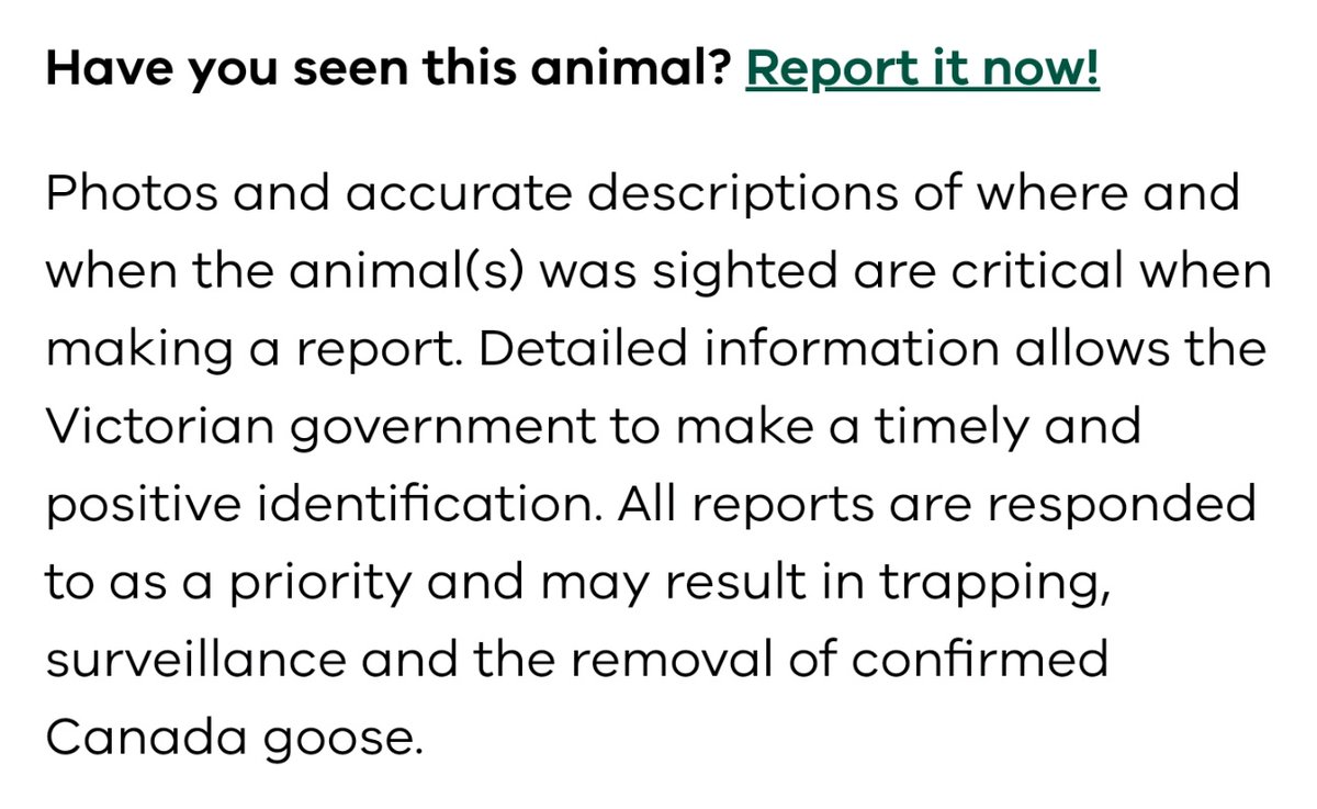 creesbee's tweet photo. From the tone of this description it makes it sound like they regularly consume children or something 😂 https://t.co/ViYFssmqwl