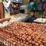 モロッコで見かけた卵屋さん!卵が多すぎて精気を失ってしまう…