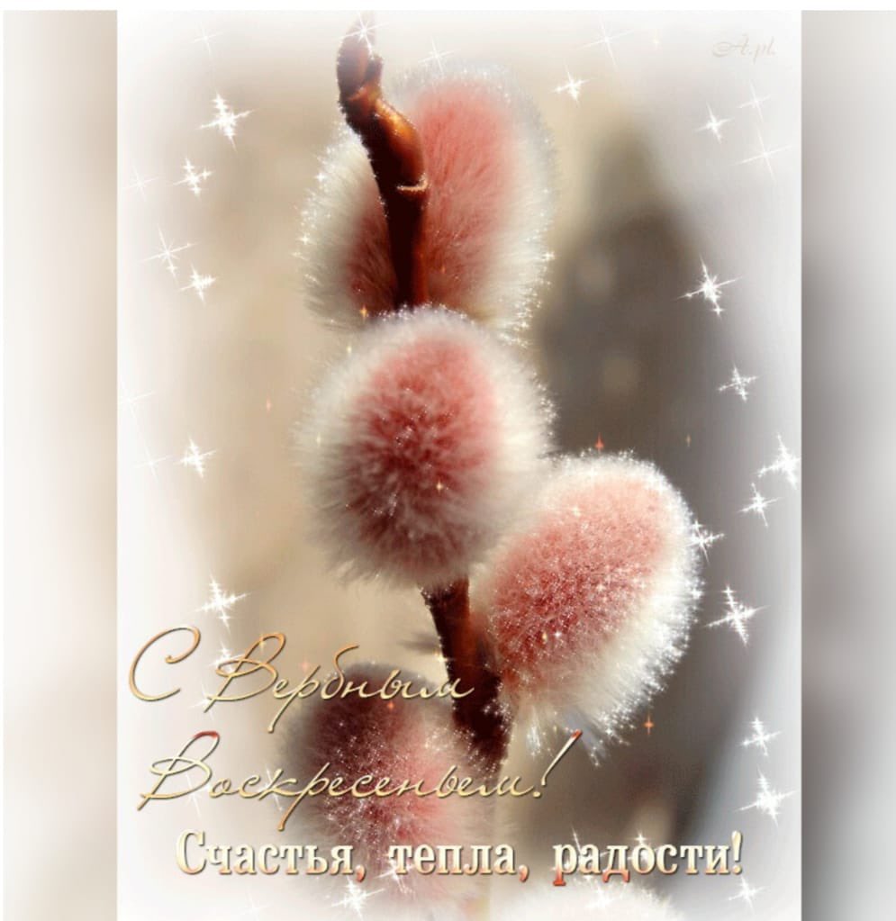 Поздравляю всех с сегодняшним Святым днём и Великим Праздником! Пусть благие намерения и чудеса Господа Бога не  останутся безответными с нашей стороны и станут спасением нам всем! Храни Господь наши семьи, нашу страну да и всю
нашу планету!! 🙏🙏🙏