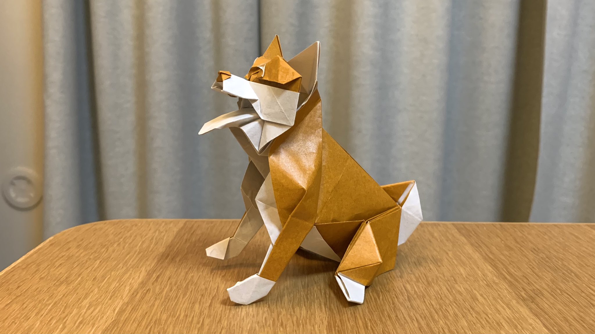 Kenken 究極の折り紙から加藤駿さんの柴犬です この作品めちゃくちゃ良いですね というか他の掲載作品も全部すごい 折り紙の進化を感じましたまる Kenken 究極の折り紙から加藤駿さんの柴犬です この作品めちゃくちゃ良いですね というか他の掲載作品も全部すごい 折り紙の進化を感じましたまる