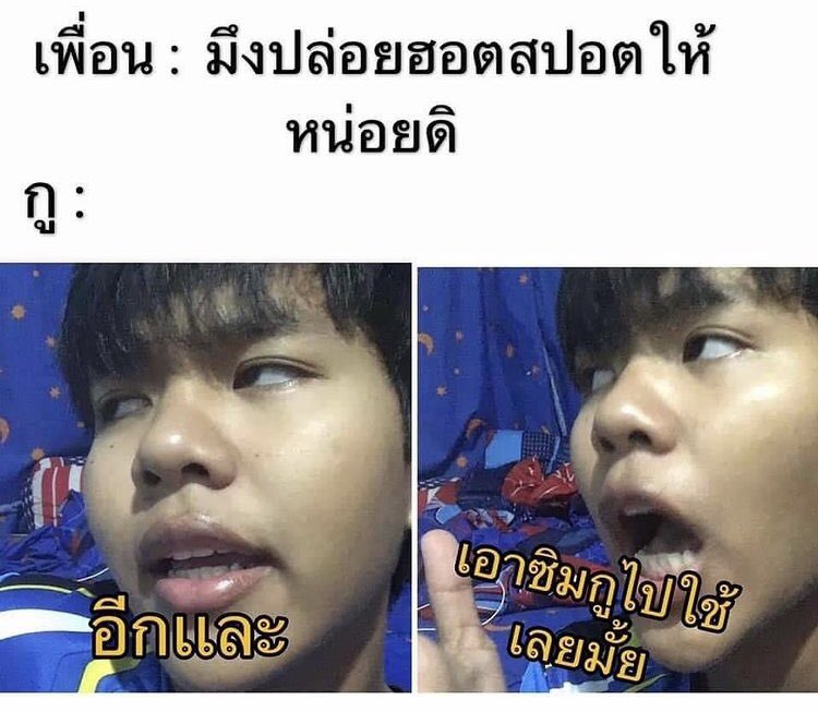 สตอรี่หมีขาว tweet media