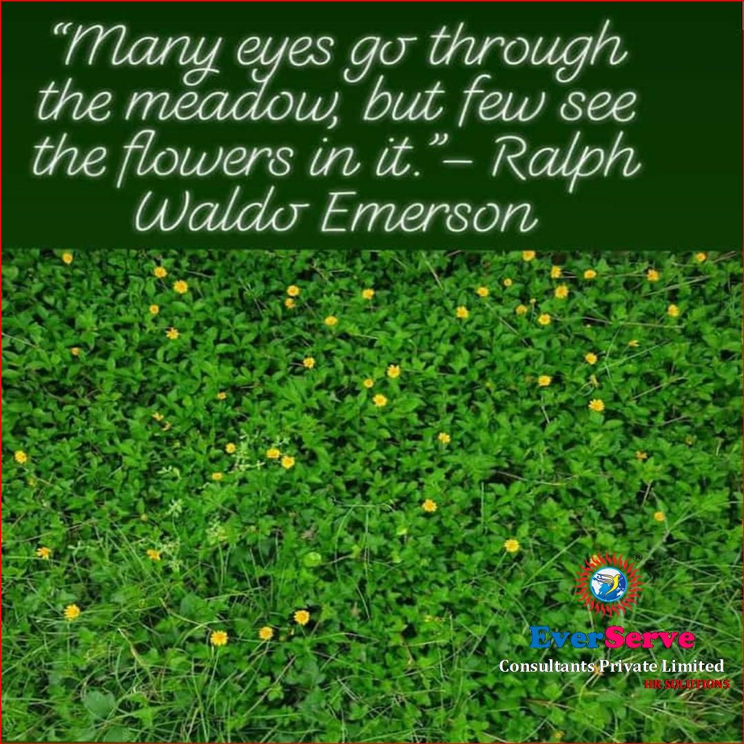 #inspiredailylife 
#motivationquotes 
#garden 
#meadow 
#flowers 
#ralphwaldoemerson 
#everserveconsultants