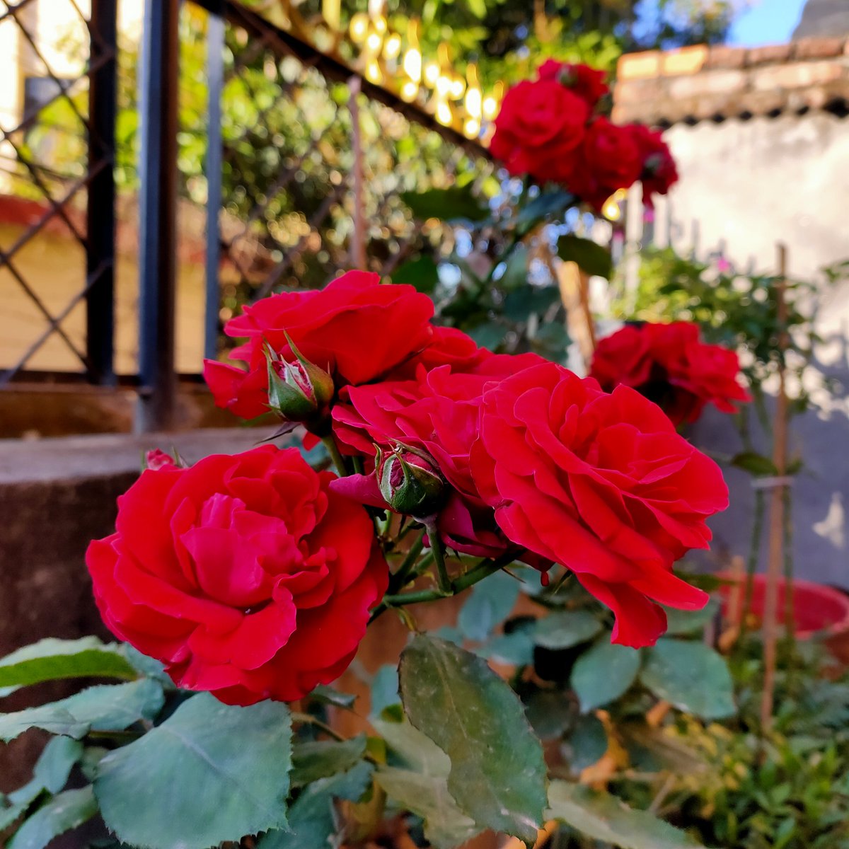 pabitrabhattar1's tweet photo. बस, आफुलाई बुझ्ने प्रयास गर,अरुलाई दुःख तिमीलाई हुनेछ !#नलेखियकाडायरीबाट https://t.co/Rq5eTO6PH3