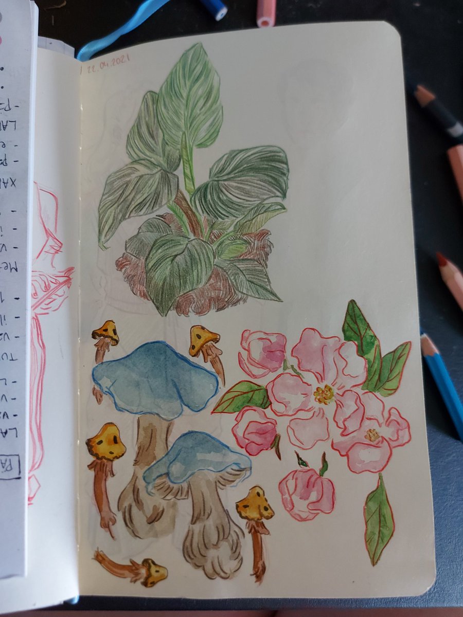 zippu13's tweet photo. #art #traditionalart #sketch #doodle #watercolours #colourpencils https://t.co/lWuHW12rtP