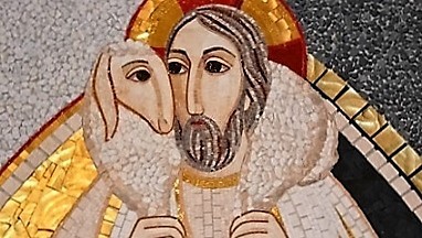 Salesianos España tweet media