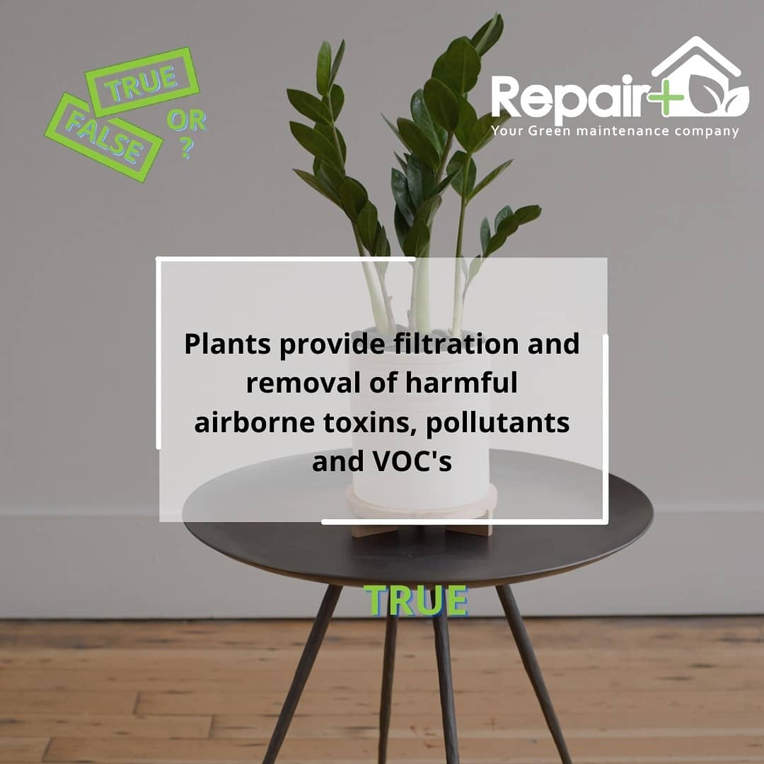 Repair_Plus's tweet image. Plants play a pivotal role in our lives! Repair Plus has planted more than 150,000 trees so far and with your help, we can reach our goal of 1 million. To learn more about our green initiatives visit our website at repairplus.ae
.
.
.
#repairplus #greeninitiative
