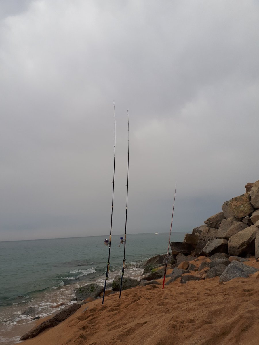 MosqueterosS's tweet photo. Hoy accediendo a zonas 《secretas》 haver si doy con el pescado https://t.co/0SlgLKnCXA