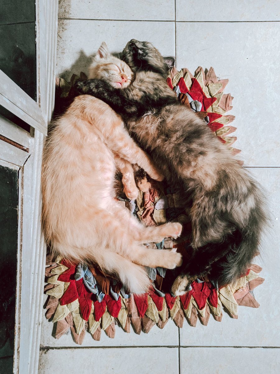 usermales's tweet photo. Berpelukan🤗 https://t.co/5eIzkCLkkE