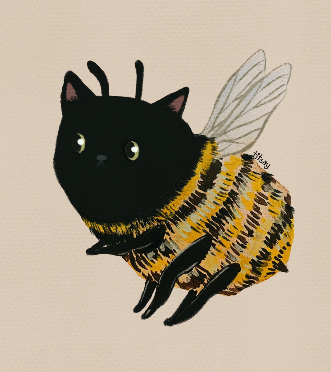 titsay's tweet photo. bumblecats https://t.co/g96rkxhWIS