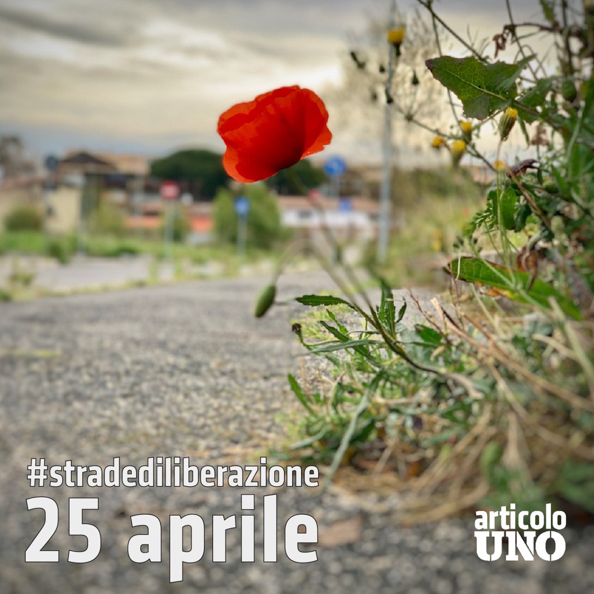 La festa più bella! Oggi alle 16 portiamo anche noi un fiore rosso nelle strade dedicate ad antifascisti e partigiani. #stradediliberazione <a href="/Anpinazionale/">A.N.P.I. Nazionale</a> #25aprile