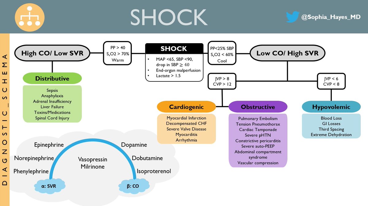 Do rapid responses get your own heart rate racing? Are you an intern about to make the leap into junior year? Check out these RRT outlines <a href="/BrighamMedRes/">Brigham and Women's Medicine Residents</a> <a href="/BrighamBEI/">Brigham Education Institute</a> @bwh_wim <a href="/uwpccm/">UW PulmCritCareSleep</a>  

What additional outlines do people want?