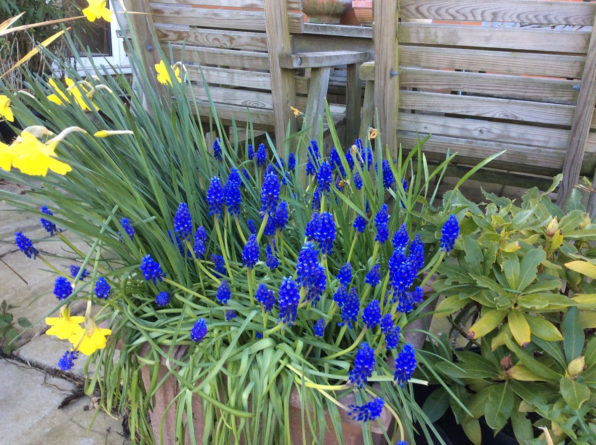 Happy birthday to a dear friend