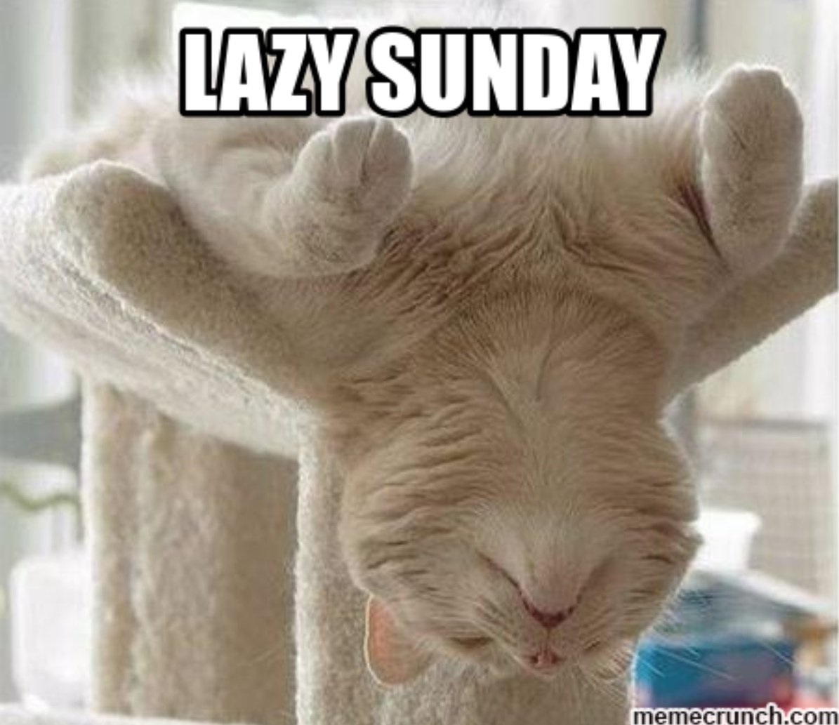 Jutta Streicher 🕊️ tweet media