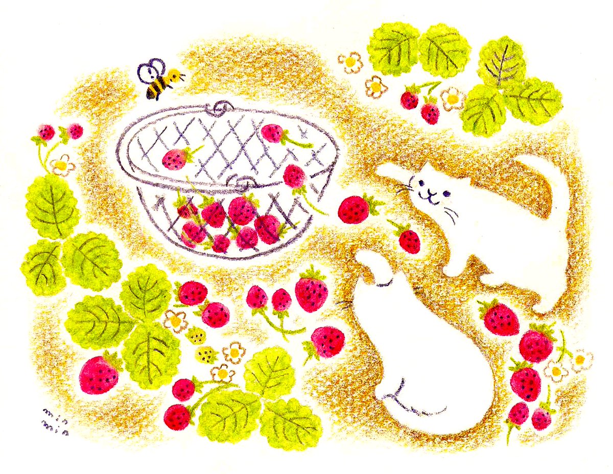 果物イラスト Twitter Search 果物イラスト Twitter Search