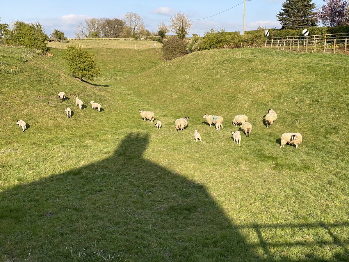 feel_paul's tweet photo. #itsgrimupnorth #springtime #sunset #exercise #stroll #photo #distraction #rural #lifestyle #sheep #lambs #naturalworld & #countryside #makeithappen #keepitcountry #awayfromthemaddingcrowd #Bridlington #godsowncounty #highcatton @sbib_bloom @East_Riding @Welcome2Yorks #Yorkshire https://t.co/wxdy9xHB4i