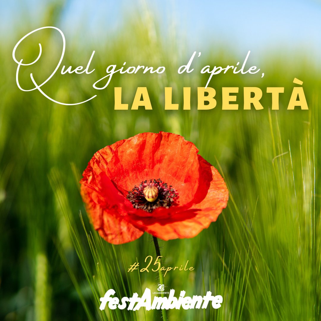 💛🌍 Il #25aprile, l'#Italia liberata. 🇮🇹

#25aprile2021
#oraesempreresistenza ✊