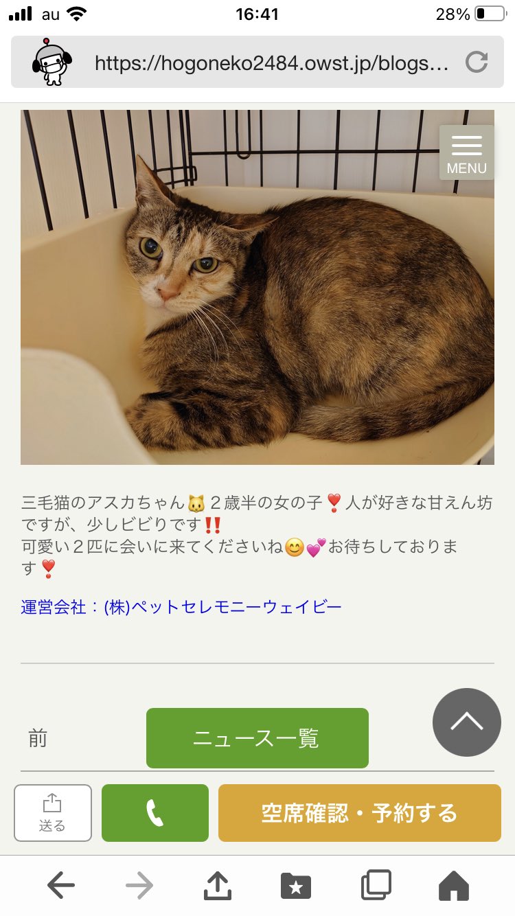 株式会社サン ライフ新卒採用 当社グループ 保護猫カフェ にじのはしにおきまして クラウドファンディングを開始しました 猫ちゃんの居場所としてあり続けるために 皆様のご協力をよろしくお願いします ご興味のある方は にじのはし をご覧ください
