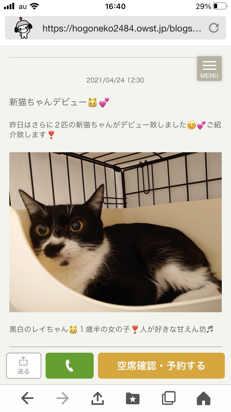 株式会社サン ライフ新卒採用 当社グループ 保護猫カフェ にじのはしにおきまして クラウドファンディングを開始しました 猫ちゃんの居場所としてあり続けるために 皆様のご協力をよろしくお願いします ご興味のある方は にじのはし をご覧ください