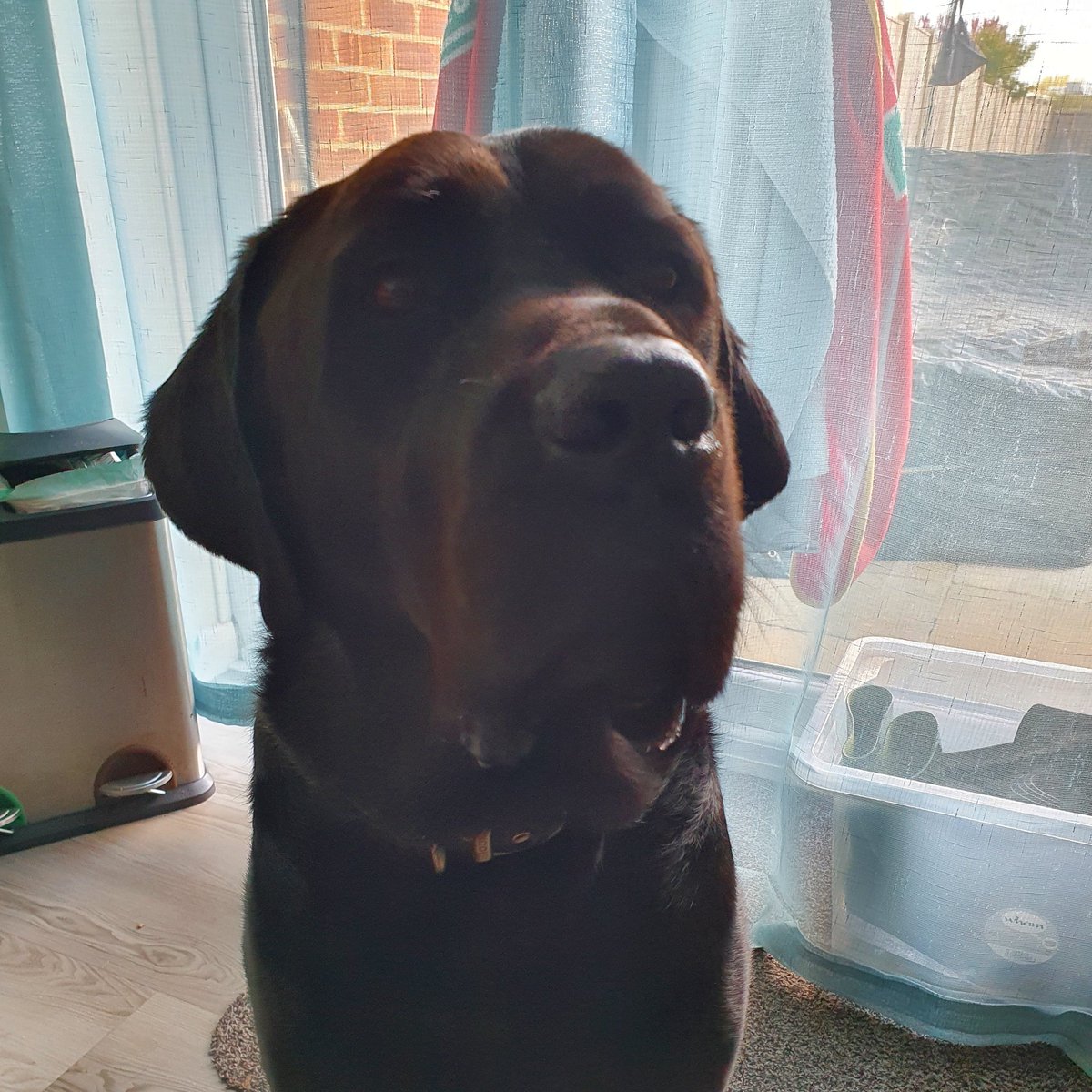 CalledZeus's tweet photo. #NewProfilePic https://t.co/38MIRRsvR8