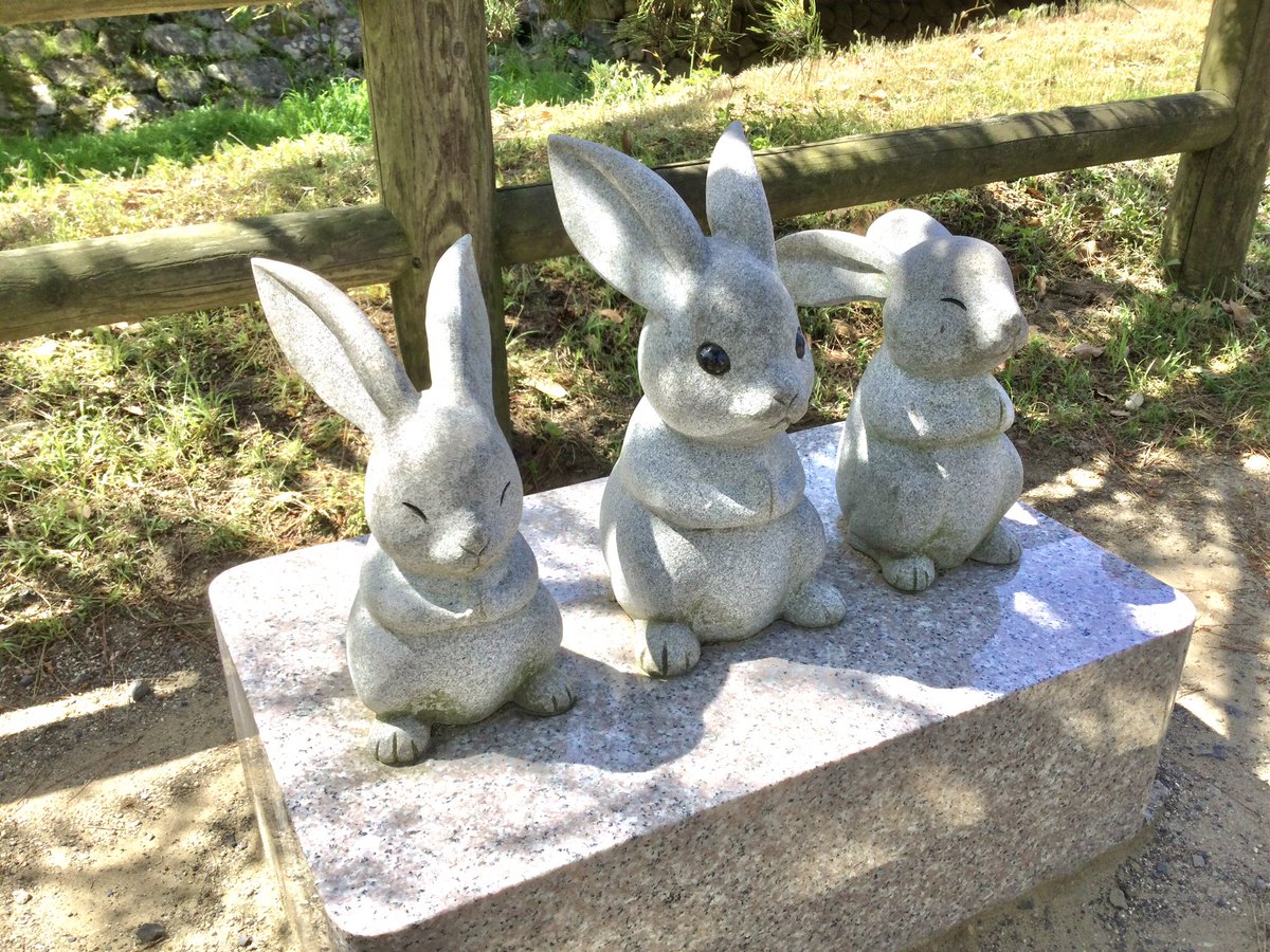 Leo Japanリエル 公式 出雲大社 思っていた以上にウサギが繁殖していた うさぎ 出雲大社