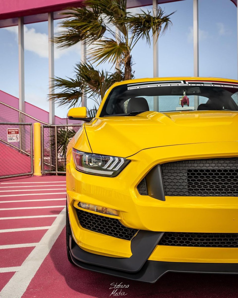 mpconceptsau's tweet photo. Such a mean looking front end 😈
🚗: @theyellowstang2.3
#gt500style #mustanggt500 #shelbygt500 #gt500mustang #mustanggt350 #gt350mustang #gt350style #shelbygt350 #mpconcepts #mpconceptsau #mpconceptsaustralia #fordmustang #mustangs550 #mustanggt #mustangaustralia https://t.co/DYZYsYNIx4