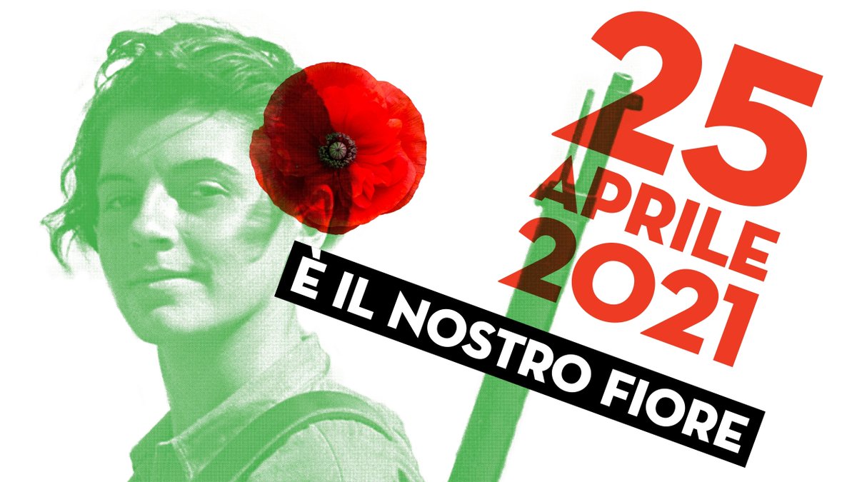 Questo è il fiore del partigiano e delle partigiane. 
Buona festa della #Liberazione! 
#antifascistiSEMPRE #pdbologna #25aprile