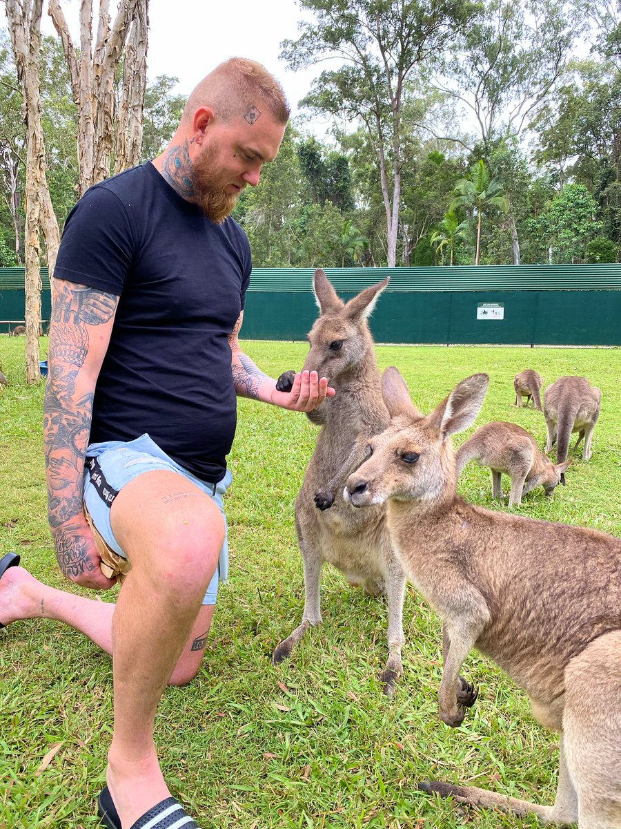 Luke Erwin tweet media