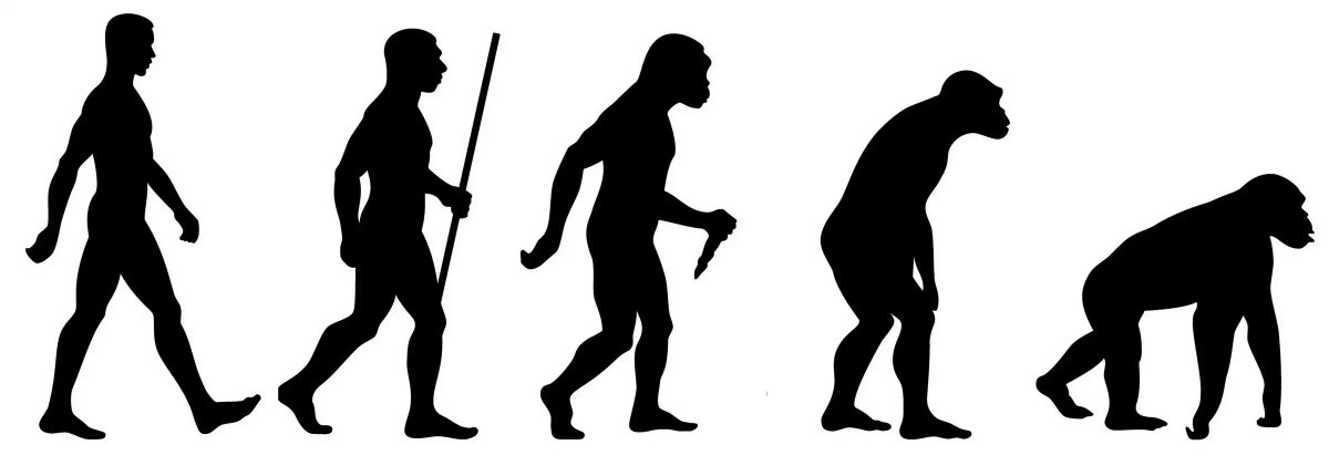 Эволюция обратно в обезьяну. Эволюция в обратную сторону. Превращение обезьяны в человека. Человек эволюционирует. Эволюция обратно в обезьяну.