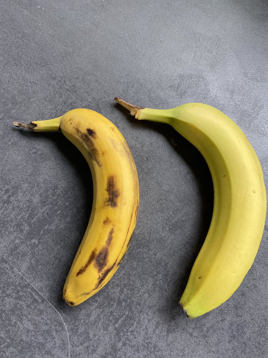 Ruud Wessels tweet media