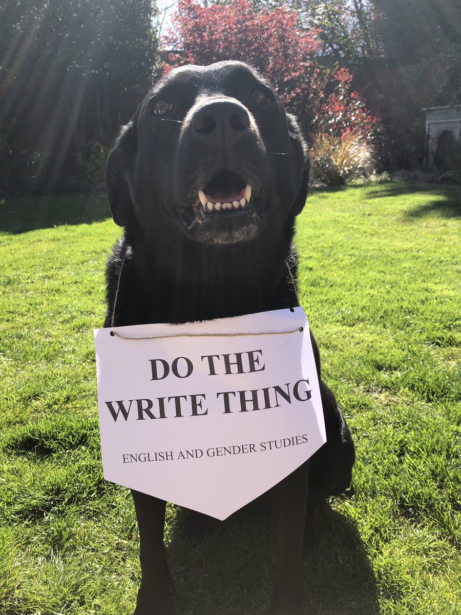 JennyJuno's tweet photo. #dogsofnoredundancieschester #noredundancieschester #animalsagainstredundancies @TRSChester @ArchaeologyChe1 @SaveEnglishUoC https://t.co/YLhFXuOhQK