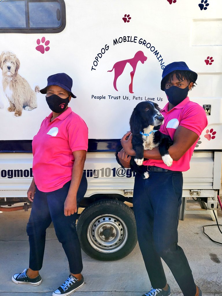 MantsoePout's tweet photo. Guys!!! I found the most amazing pet grooming company in Soweto! TopDog Mobile Grooming exceeded my expectations! Our baby was so happy! If you're in and around Soweto, give them a call. They're brilliant! 062 981 4128 https://t.co/O5BlpDao2x