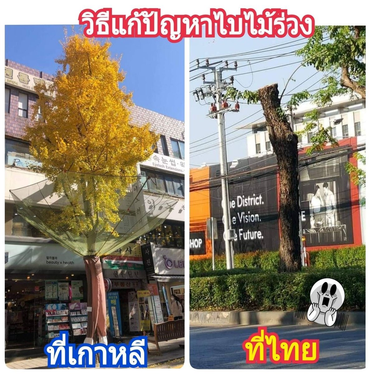 แต่ละอย่าง 55555+