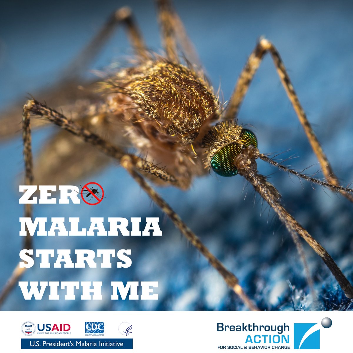 BANigeria's tweet photo. #DYK mosquitoes are the world’s deadliest animals? They are directly responsible for over 400,000 #malaria deaths worldwide annually. On this #WMD21, join us to raise awareness by creating &amp; sharing your #WMD personalised DP via this link: https://t.co/XCOVEOiDEf. https://t.co/sjq4LJOtkZ