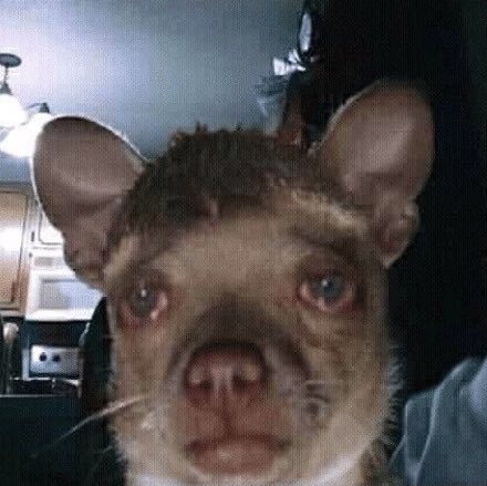 gerard (@gerardcastillom) on Twitter photo 