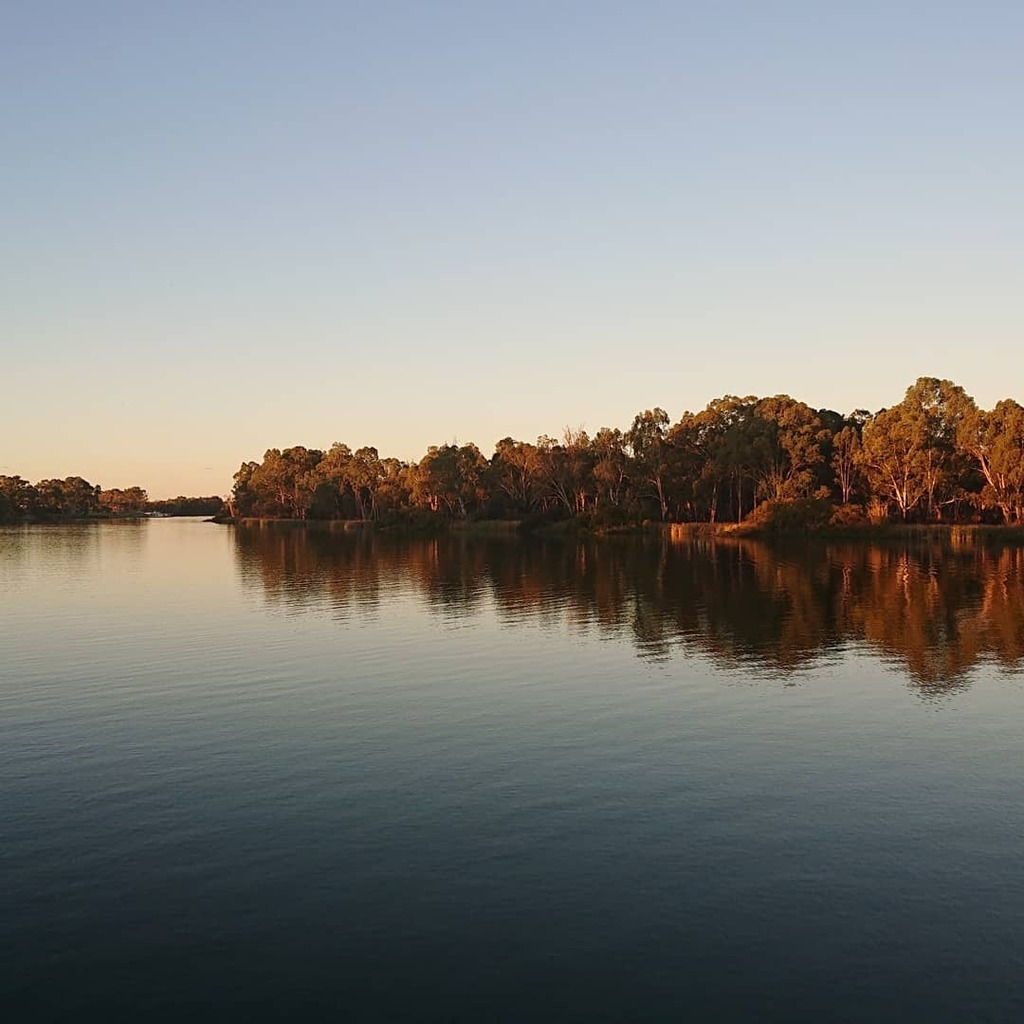 beesofsuburbia's tweet photo. My favourite spot from last week's travels. Next time I'll make sure I'm dripping in insect repellent so I can enjoy it in-person for a little longer. https://t.co/tOOHEYA41u https://t.co/3ImkULmHjV