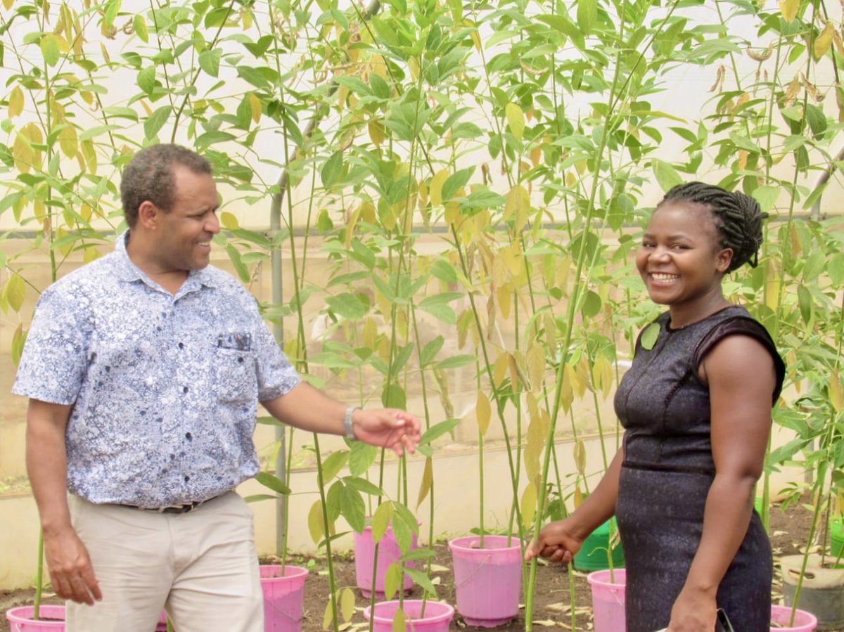 Congratulations Esnart Nyirenda Yohane, seen right with supervisor Prof Hussein Shimelis, for her article published in Agronomy.
Title: Phenotypic divergence analysis in pigeonpea [Cajanus cajan (L.) Millspaugh] germplasm accessions. Agronomy. DOI: 10.3390/agronomy10111682