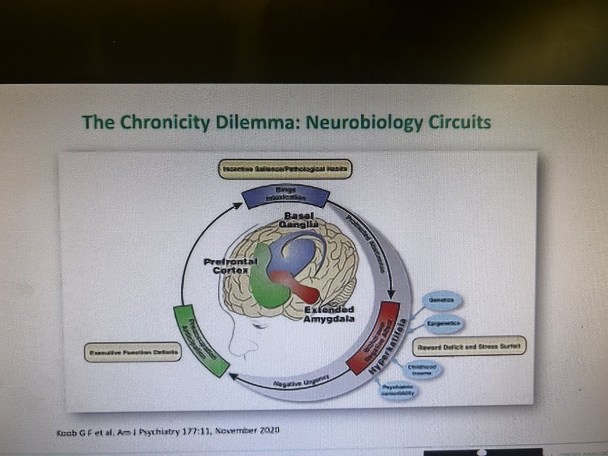 LizLizm46's tweet image. Dr Yasir Abbasi enlightens us on prescribing in addiction #pwid #pwmd The acute pain experience in our patients who use drugs recreationally
#opioiddependance #PiPs23 @RNPainNet #OST- opioid substitute treatment