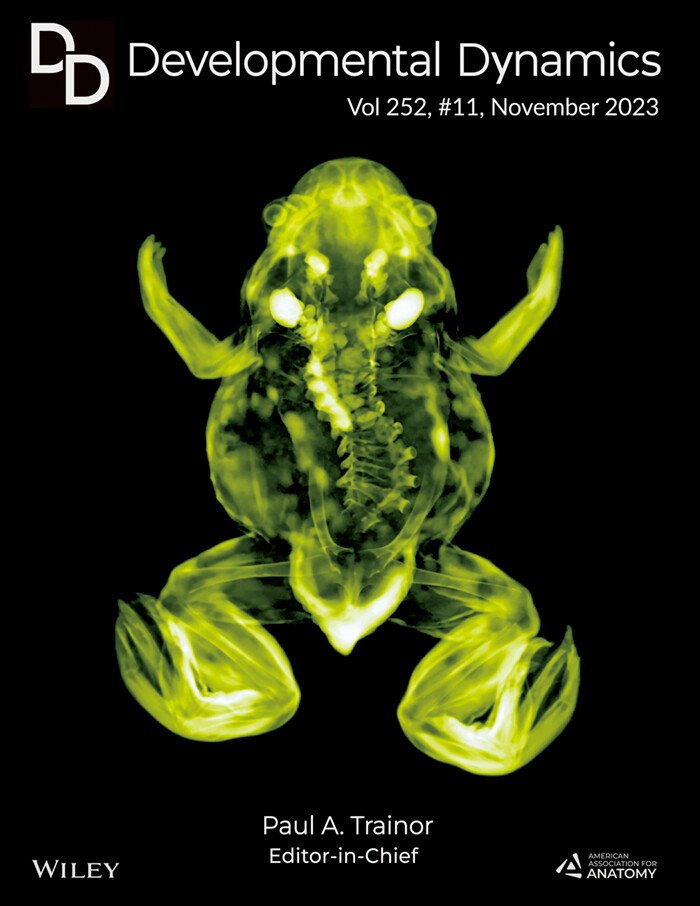 The Art of Science - Cover of Developmental Dynamics Xenopus tropicalis froglet (PTA stained, inline phase-contrast image) nearing the completion of metamorphosis. With thanks to Jason Nguyen, Brian Eames @EamesLab, Jean-Sébastien Gauthier and colleagues. #Xenopus