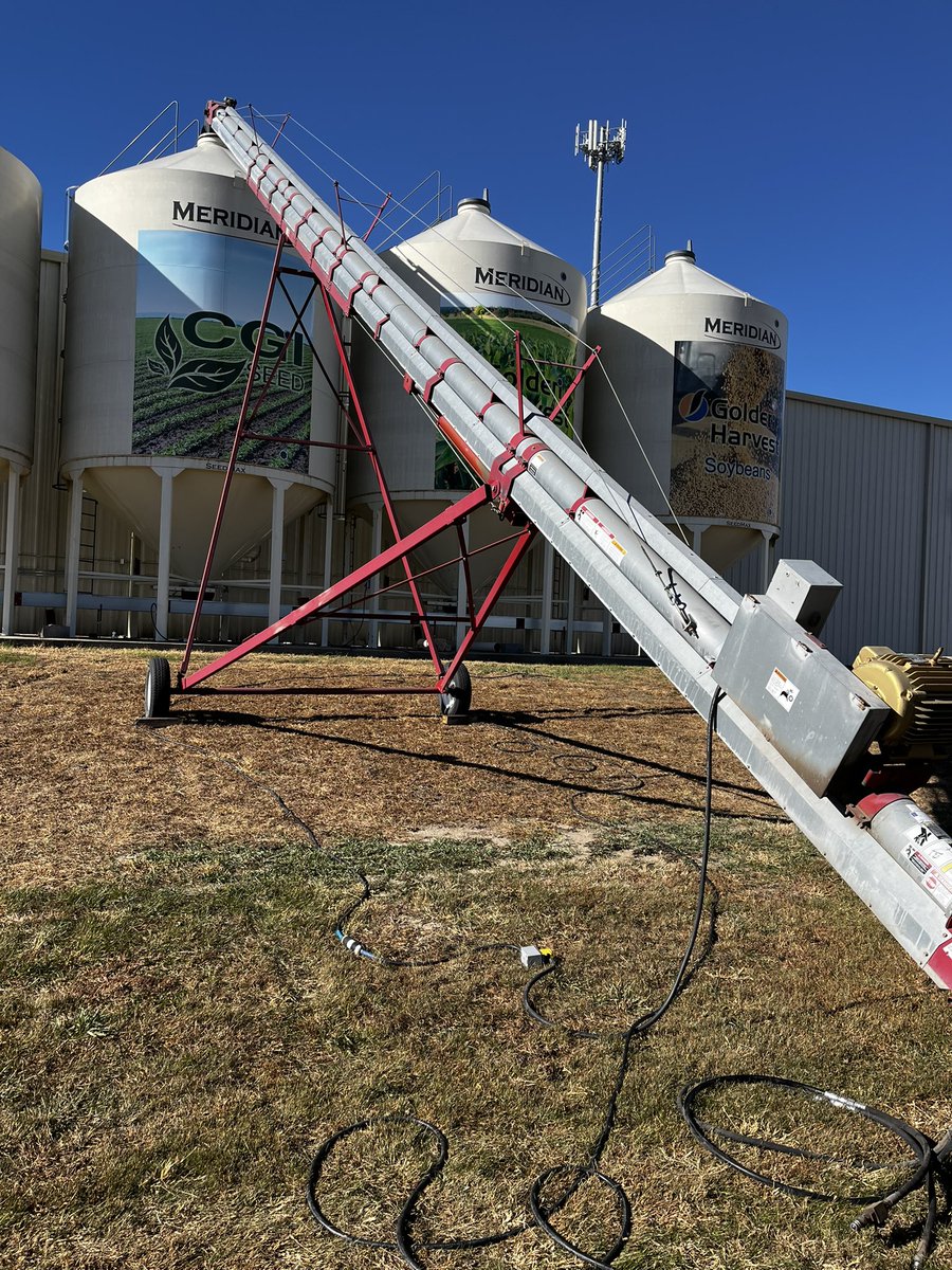 CGI Seed tweet media