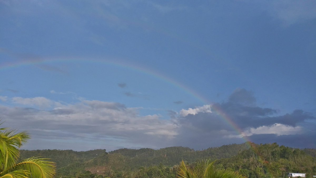 mappuertorico's tweet photo. #puertorico #isabela #bosque #guajataca #quebradillas https://t.co/sevtgkMUMI
