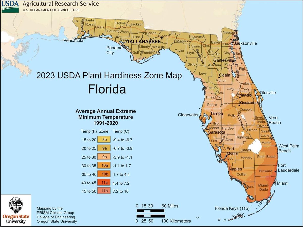 Cindy_Banyai_FL's tweet photo. USDA updated its plant hardiness zone map for Florida with major changes because of #climatechange. Check it out and share! Scientists and farmers know climate change is real. Now we just need politicians to make good policy. #ThinkGreenVoteBlue https://t.co/XGoQxyQCVW