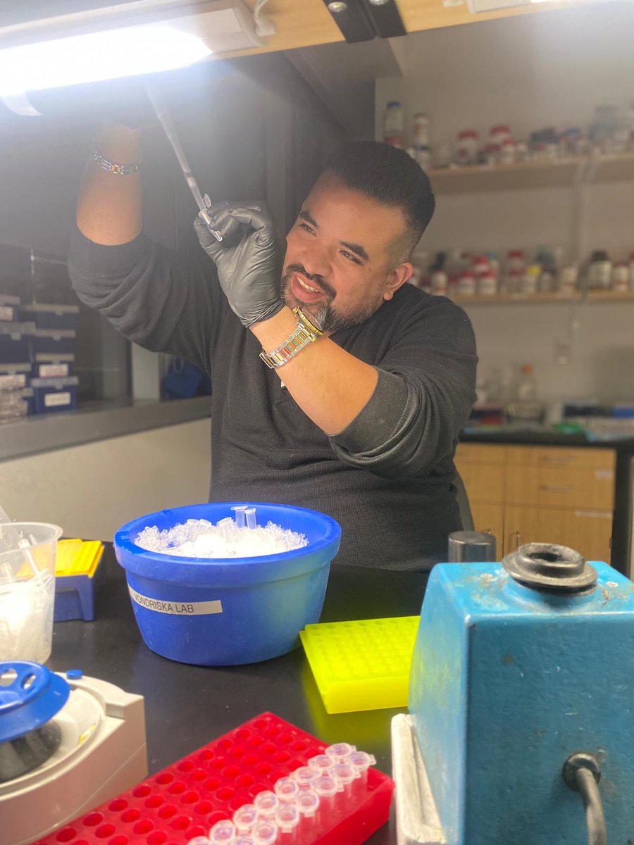 Excited to release preprint examining circadian control of histone H3 in myocyte growth. Circadian biology requires weird, long hours! Action shot of first author Dr. Adrian Arrieta <a href="/AdrianA69807039/">Adrian Arrieta, PhD</a> last night biorxiv.org/content/10.110… 🧵