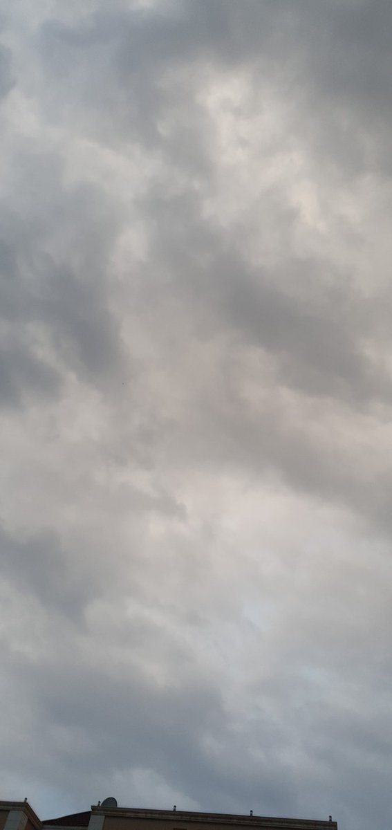 أيمن 🪖💚🦁 (@menosrt8) on Twitter photo 