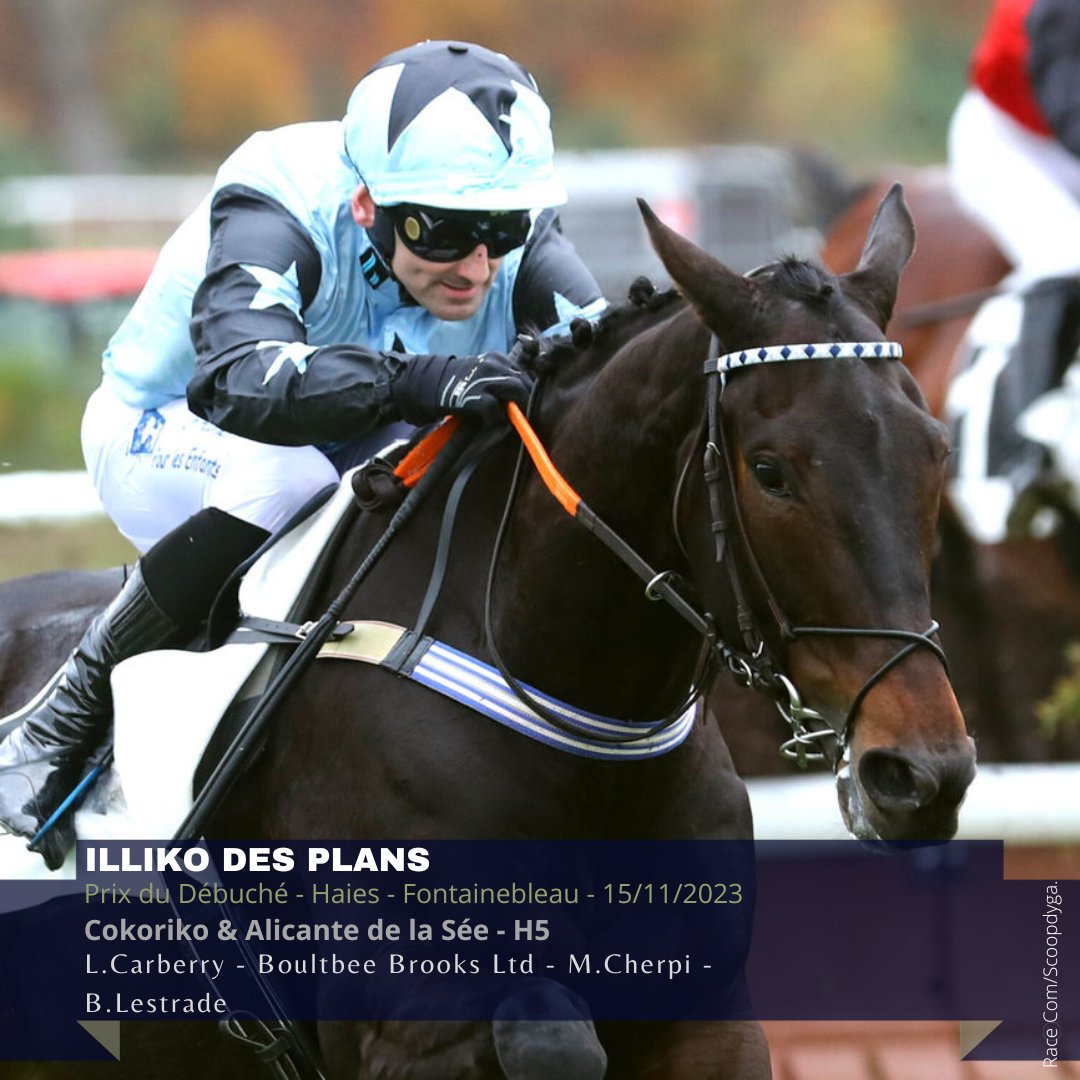🏆Le #blacktype en steeple, ILLIKO DES PLANS (Cokoriko <a href="/HarasDeCercy/">Haras De Cercy</a> ),  s'impose pour son nouvel entourage sur les haies de Fontainebleau ! 
Bravo à tous ! 
#bredtojump
