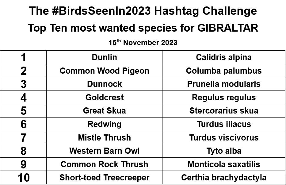 Here are the Top 10 most wanted #BirdsSeenIn2023 needed for the year list for Gibraltar. If you have photos of any of them taken this year, please tweet them with the hashtag. @TommyFinlayson @robbieaperez @capelin_gerry @viewtothenorth @gonhsgib @dparody @AshmanMrmatt