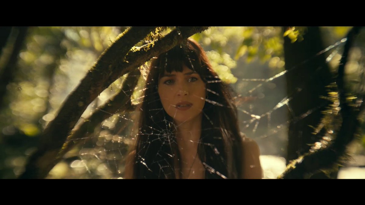dakotaj_updates's tweet photo. Dakota Johnson as Cassandra Webb in "MADAME WEB" https://t.co/nQUNuZdTJm