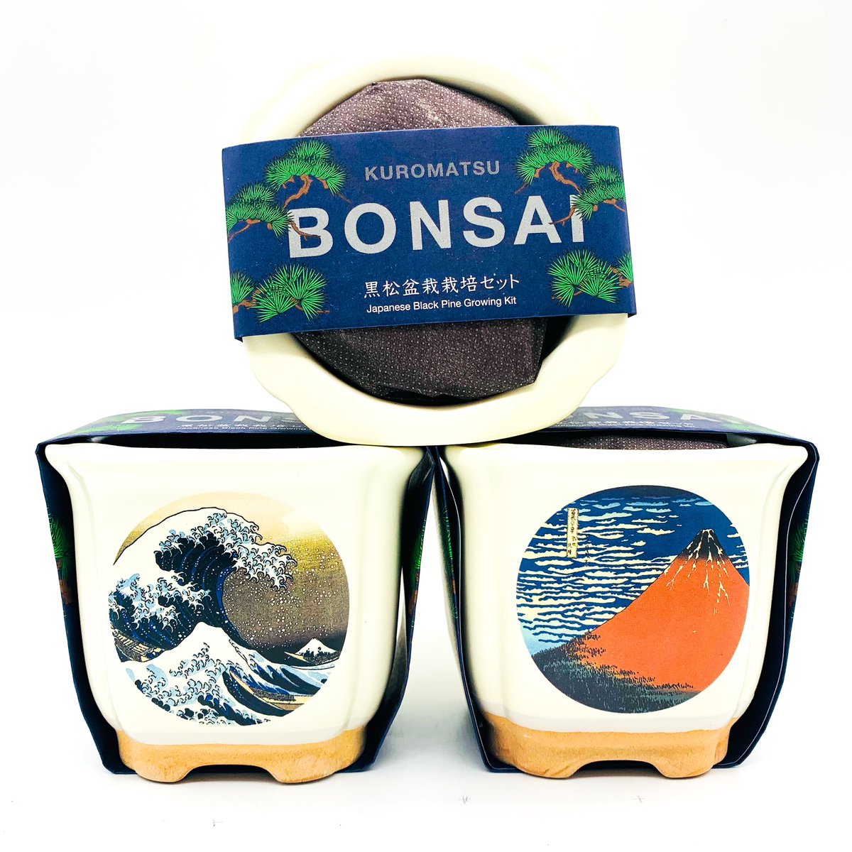 swaygallery's tweet photo. NEW IN | Bonsai Kit
Grow your own bonsai at home! These kits feature prints of artworks by Katsushika Hokusai and are bonsai kits that can be grown from seeds. #swaygallery #swaylondon #japan #london #japaninlondon #newin #bonsai #seed #bonsaikit #katusikahokusai #growfromseeds https://t.co/tkVrZqR2eg