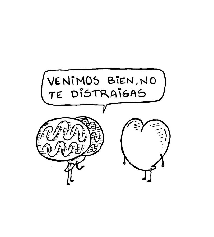 escritosnacion's tweet photo. https://t.co/8DBKVuPHWm